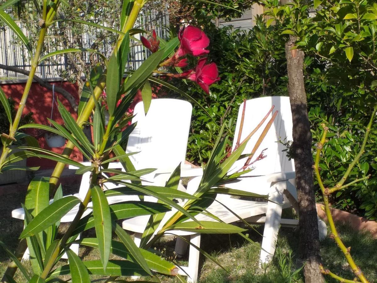 Bed & Breakfast La Rosa Rossa Cagli Exterior foto